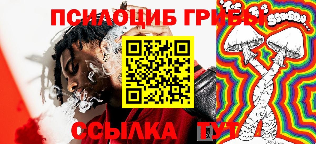 Псилоцибиновые грибы MAGIC MUSHROOMS  Вход с VPN  Красноармейск 